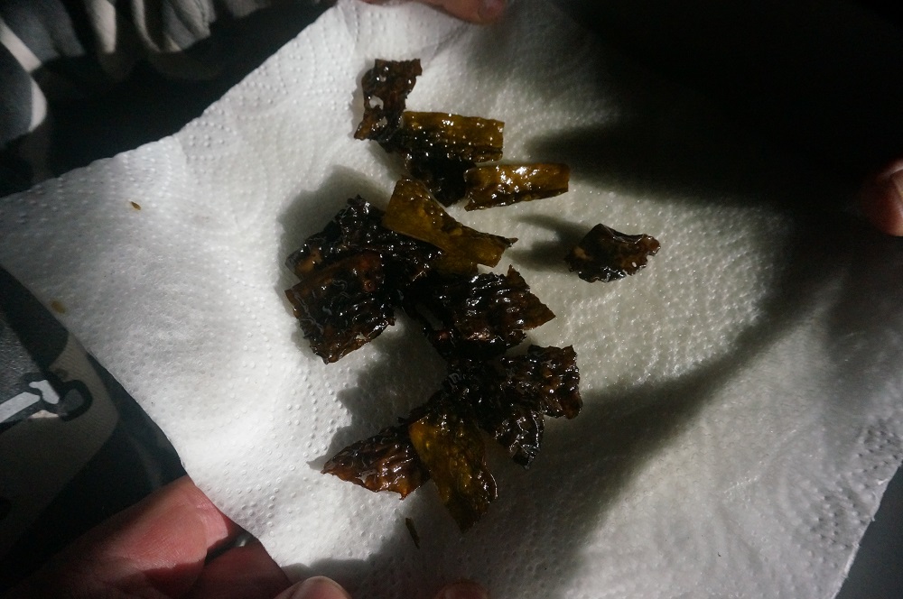 seaweed sweet kelp DSC08116