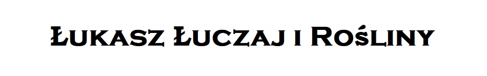 Łukasz Łuczaj - 