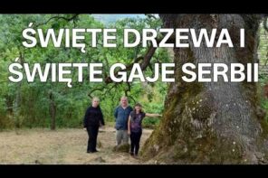 Święte drzewa Serbii